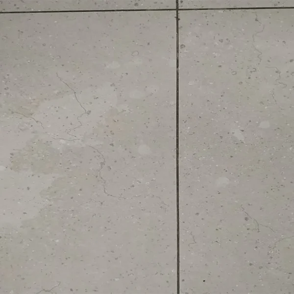 TILE CLEANER – הסרת כתמים מרצפות